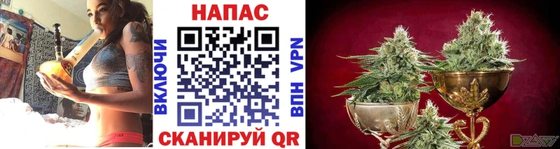 Шишки марихуана Amnesia  сколько стоит  Усмань 